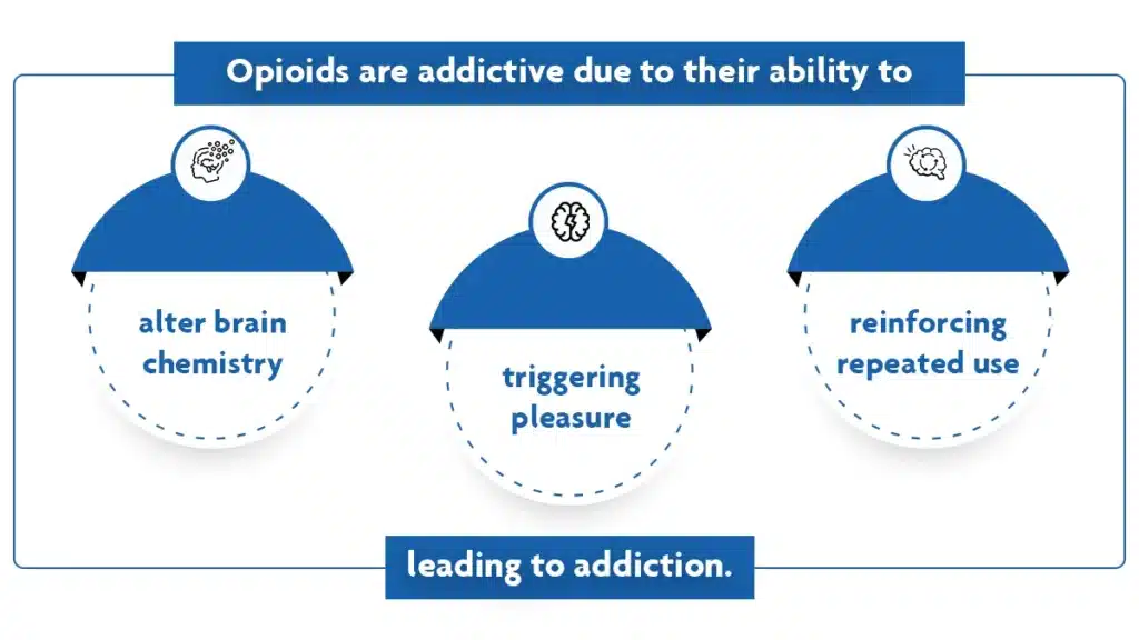 Blue text on a white background explaining why opioids are so addictive including brain chemistry, triggering pleasure, and repeated use.

